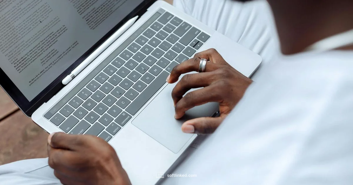 PDF Reader Essentials - SoftLinked