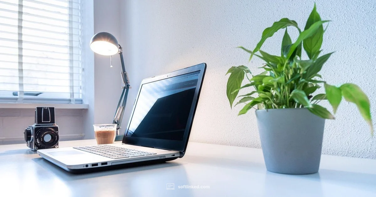 Snapdragon X Elite - SoftLinked