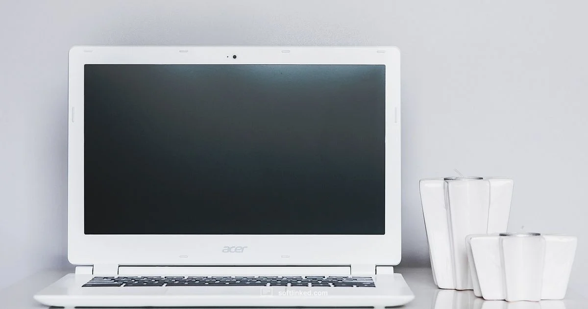 Causes of Software Bugs - SoftLinked