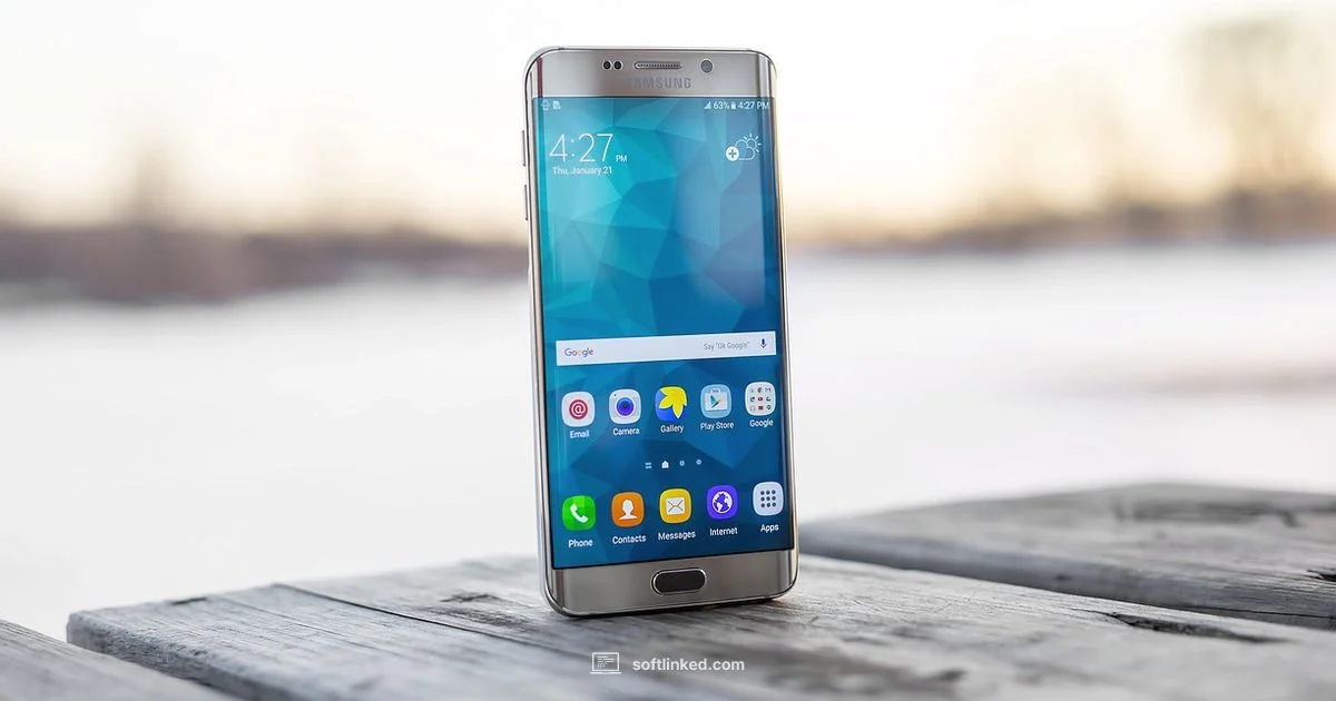 Check for Updates - SoftLinked