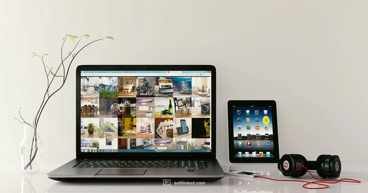 Arcane Toolstack - SoftLinked