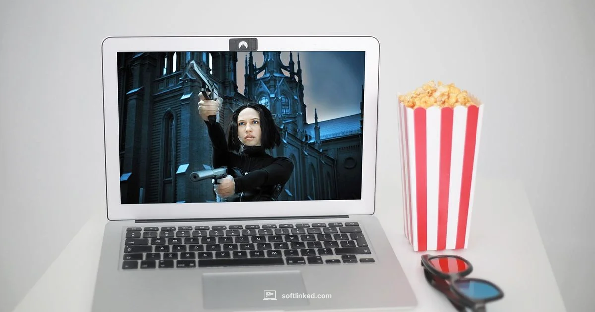 AVI Playback Essentials - SoftLinked