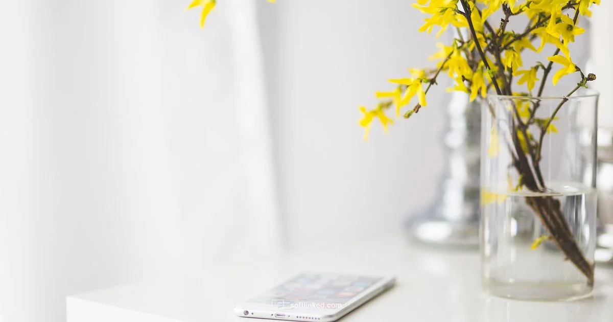 Candy Software - SoftLinked