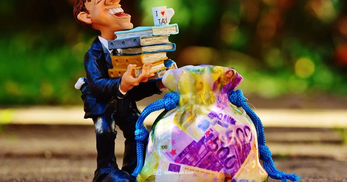 Tax Software Guide - SoftLinked