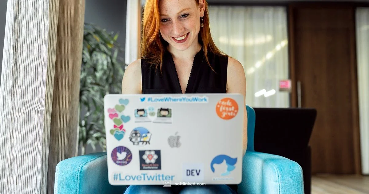 Role of a Software Engineer - SoftLinked