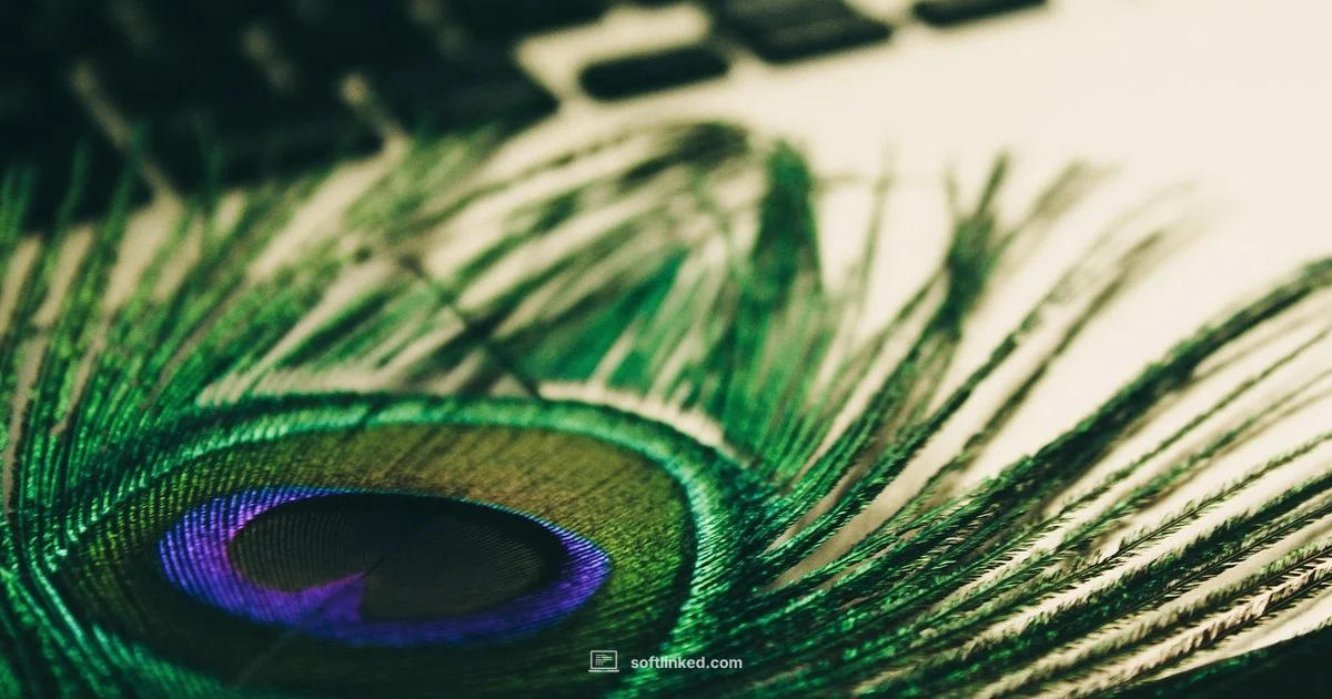 Editing Picture Software Editing Picture Software - SoftLinked