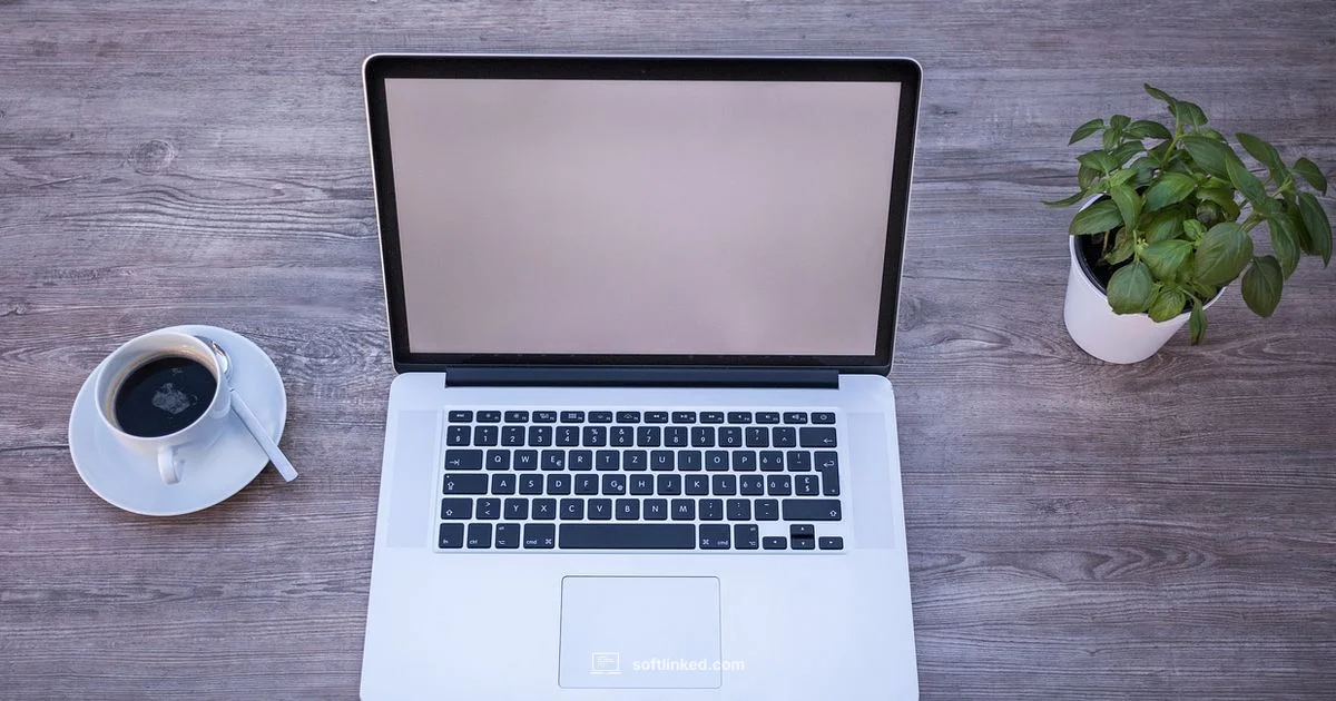 Software Basics - SoftLinked