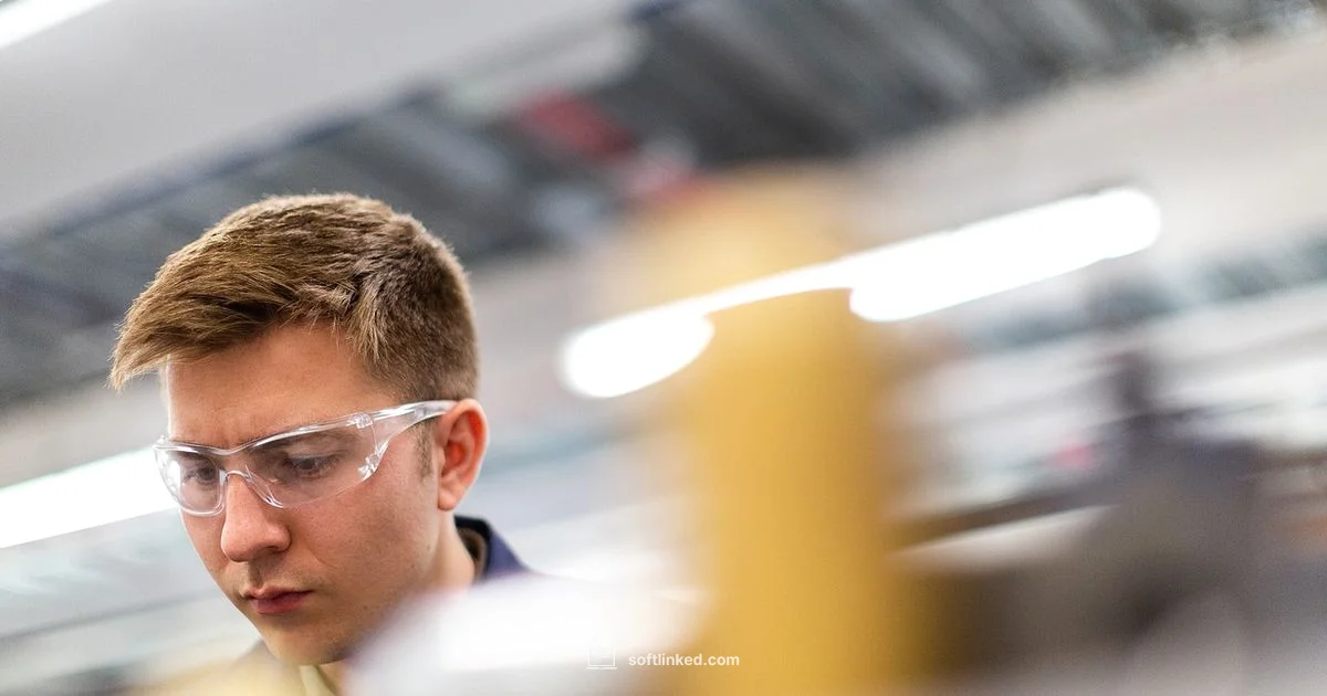 Degree vs Experience - SoftLinked