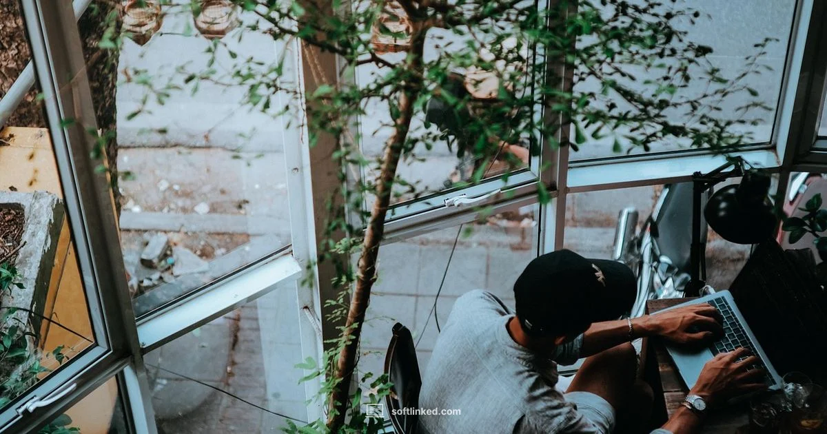 Break In Without Degree - SoftLinked