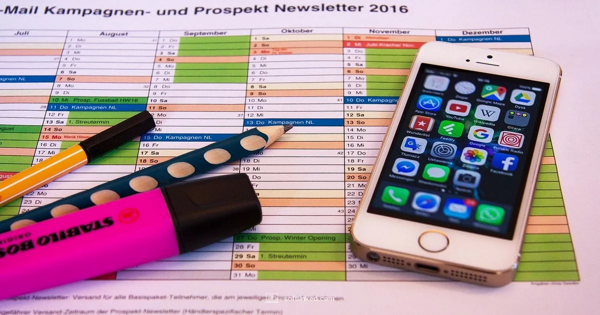 Service Software Guide Service Software Guide - SoftLinked