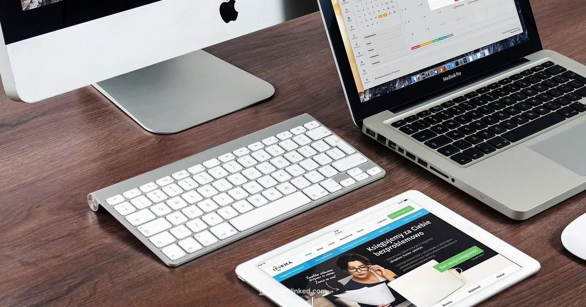 Office on Mac Guide Office on Mac Guide - SoftLinked