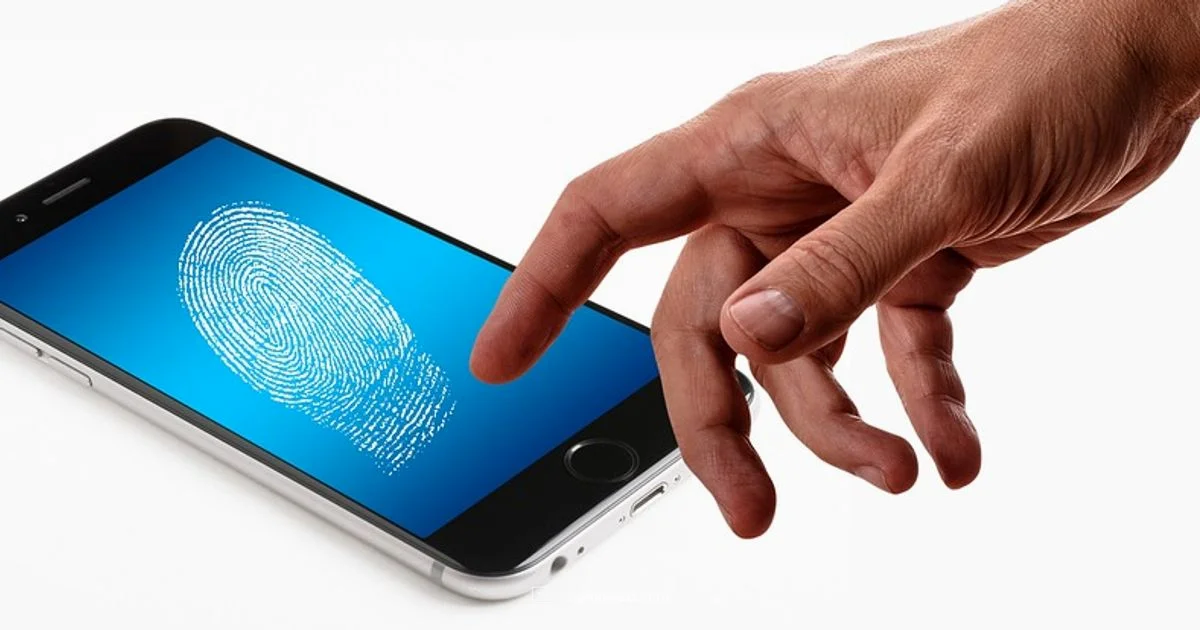 Phone Security Basics - SoftLinked