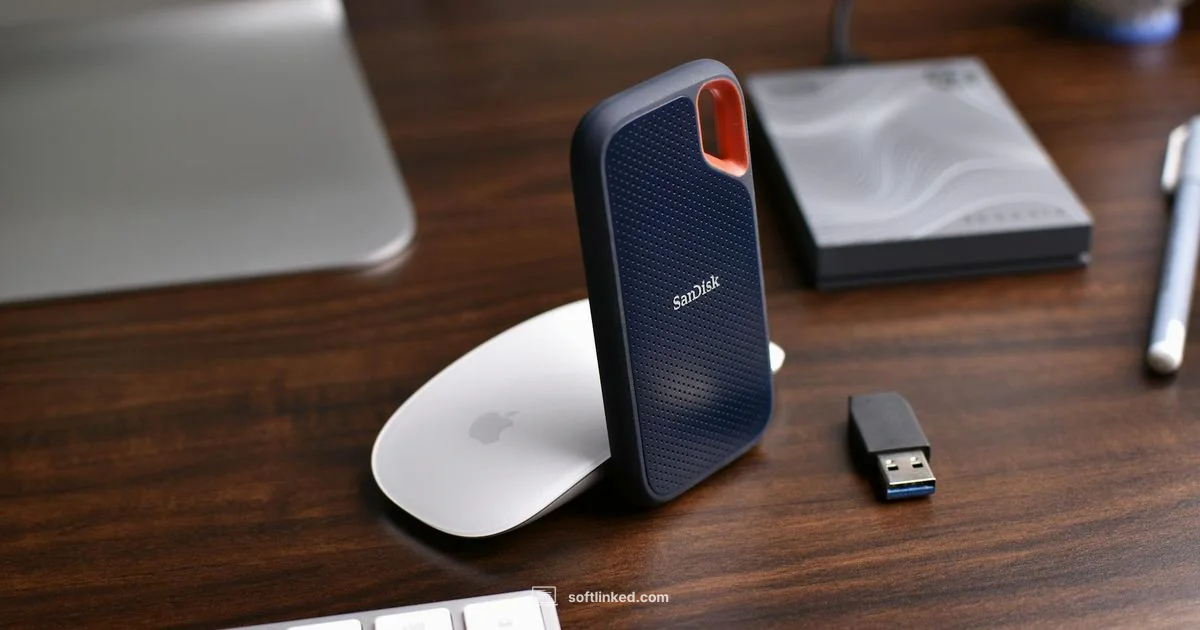 R10 Software Compatibility - SoftLinked