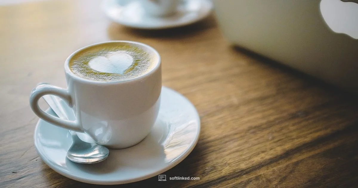 YouTube MP4 Guide - SoftLinked