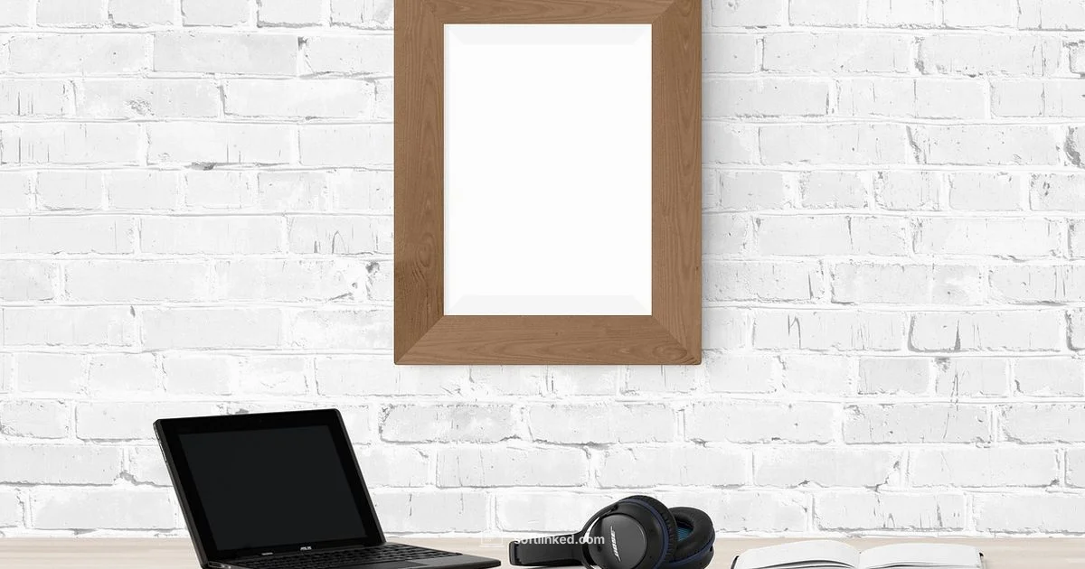 Pirate Software Reality - SoftLinked