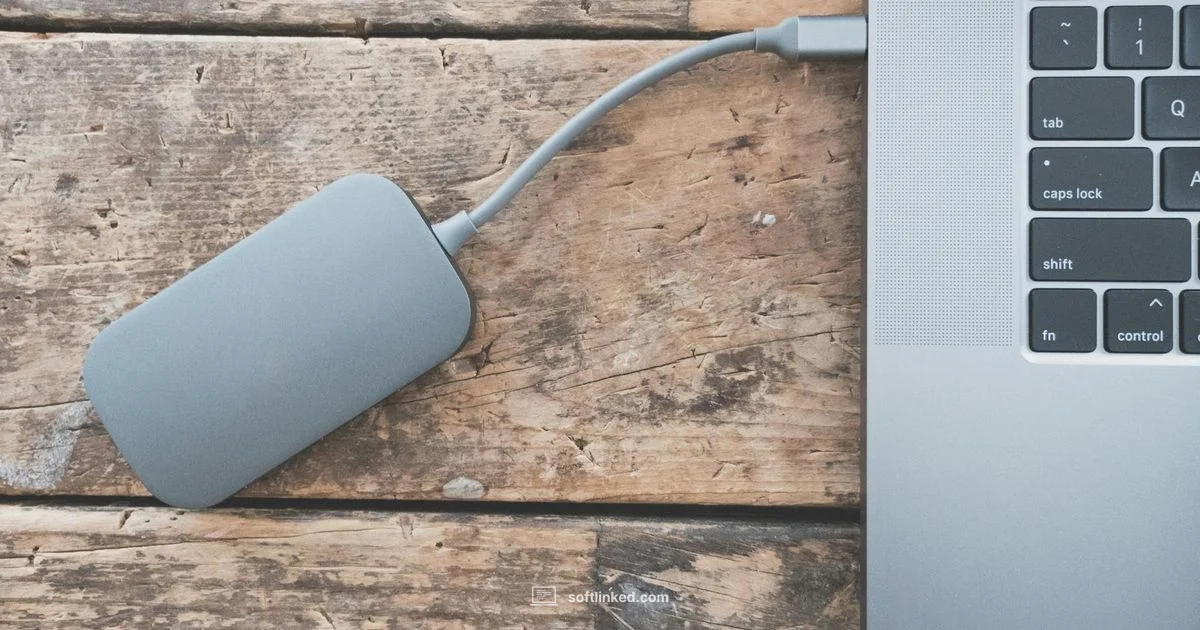 Free Data Recovery Guide - SoftLinked