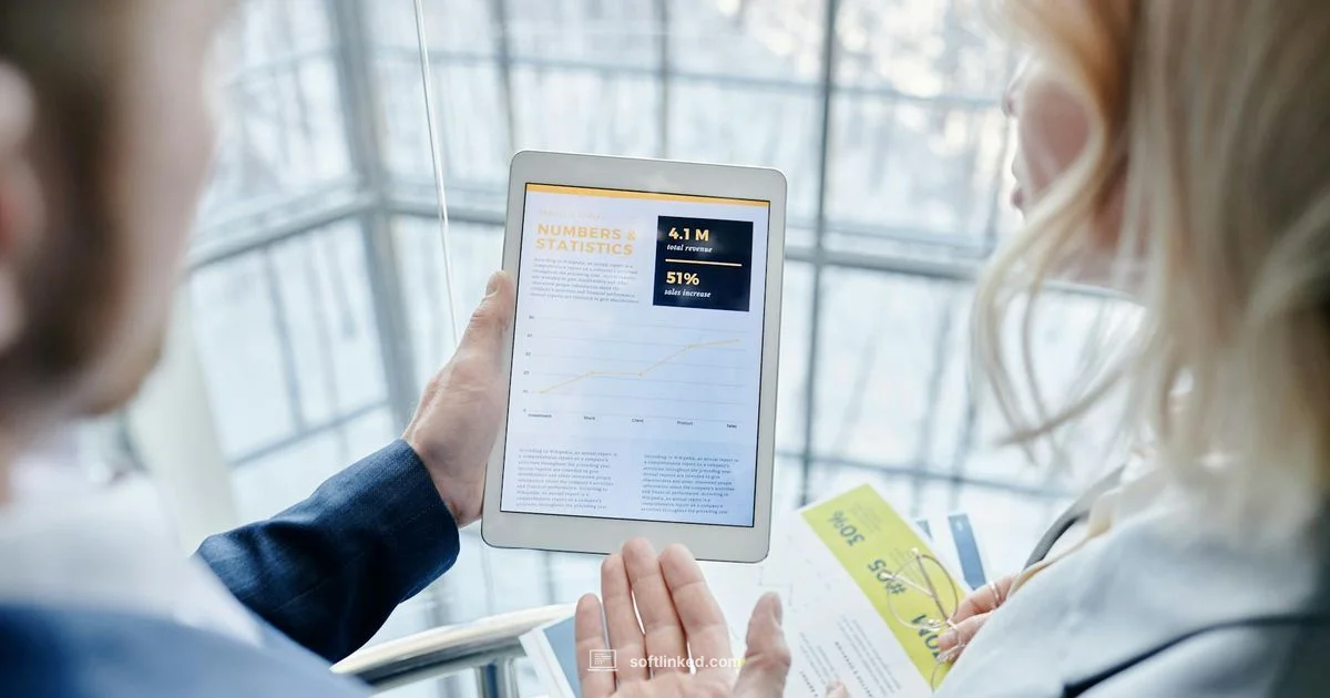 BI Tools Overview - SoftLinked