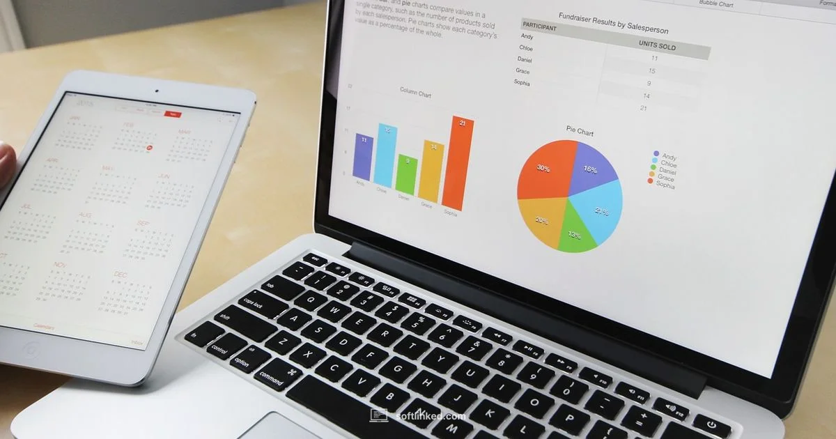 Excel Accounting Prototype - SoftLinked