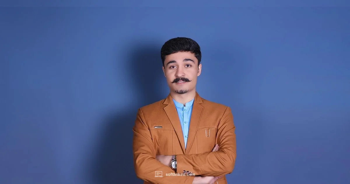 BI in Action - SoftLinked