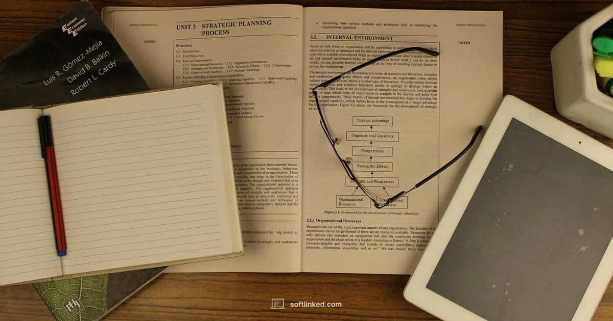 Entry-Level Dev Guide - SoftLinked