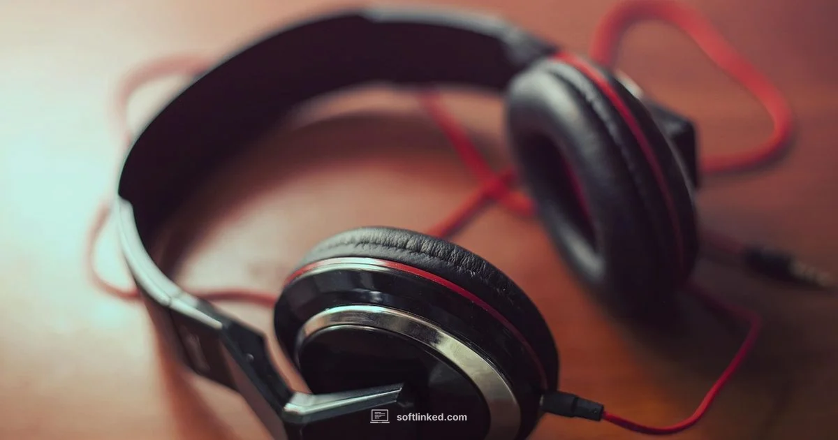 Audacity Quick Start - SoftLinked