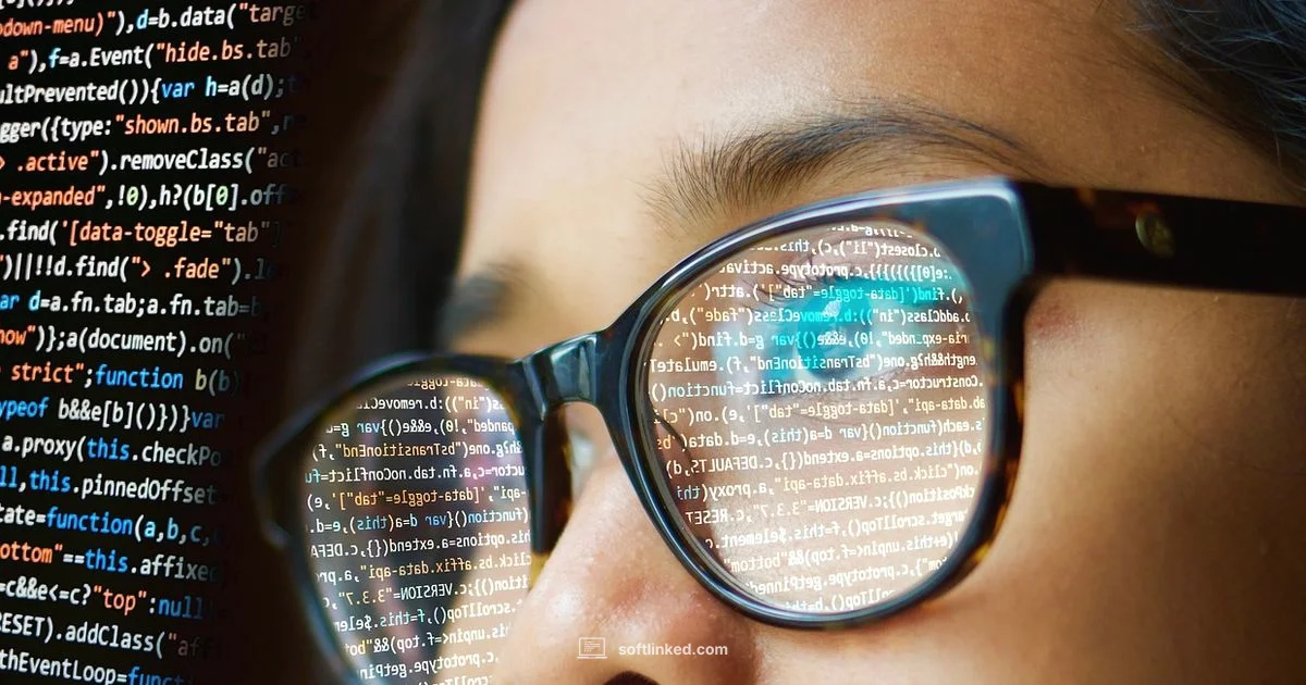 How Software Works - SoftLinked