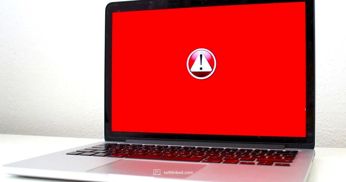 Malware Check - SoftLinked