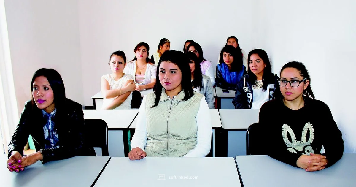 Software Degree Guide - SoftLinked