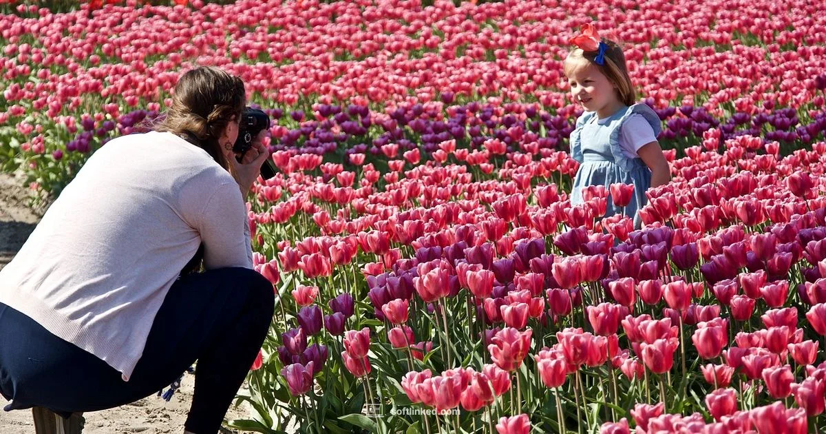 Capture One Essentials - SoftLinked