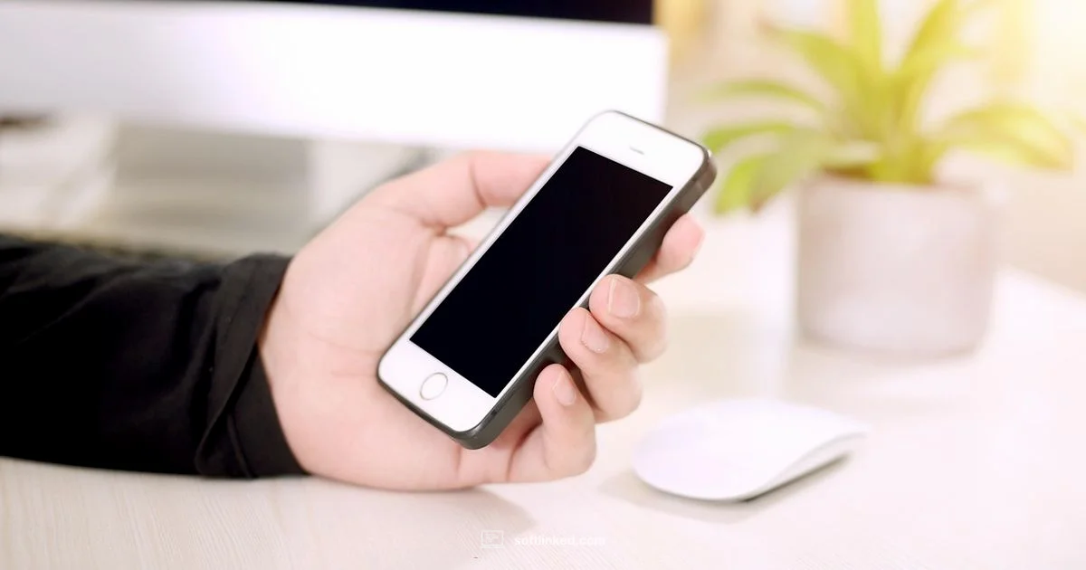 Free iPhone Security - SoftLinked