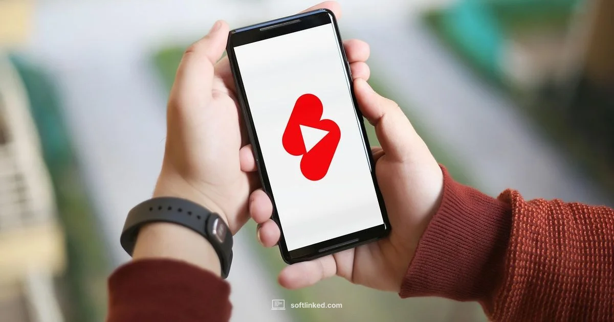 Creator Editing Setup - SoftLinked