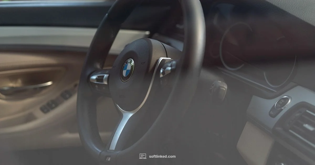 BMW Software Cadence - SoftLinked