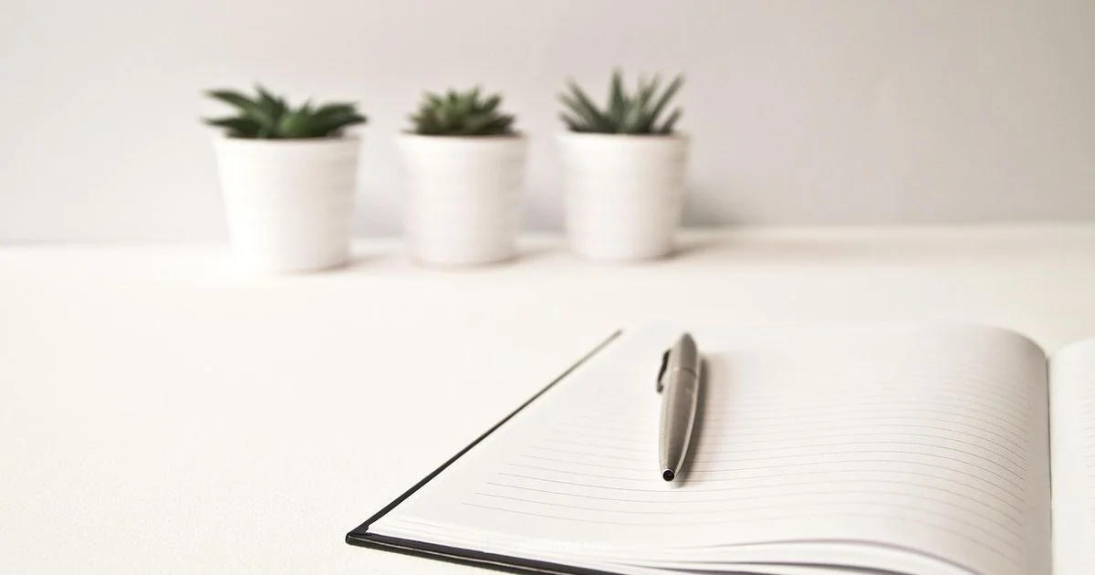 YouTube 4K Downloader YouTube 4K Downloader - SoftLinked