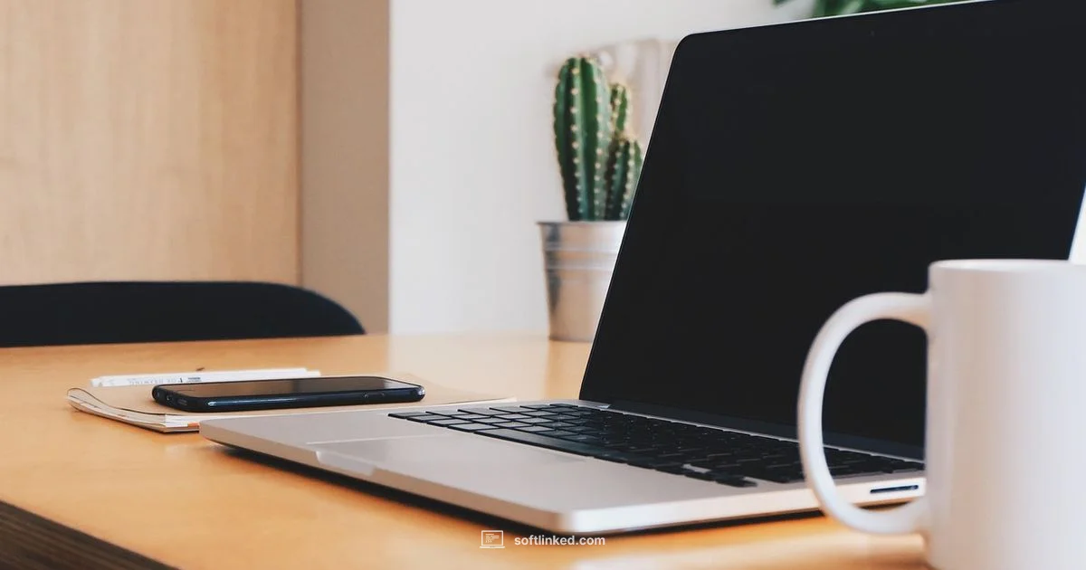 Asset vs Expense - SoftLinked