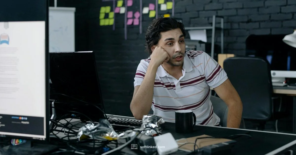 Is Software Worth It? - SoftLinked