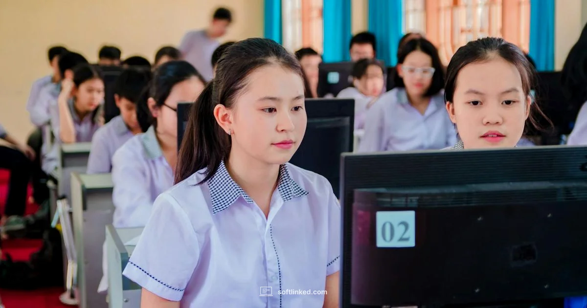 Software Fundamentals Software Fundamentals - SoftLinked