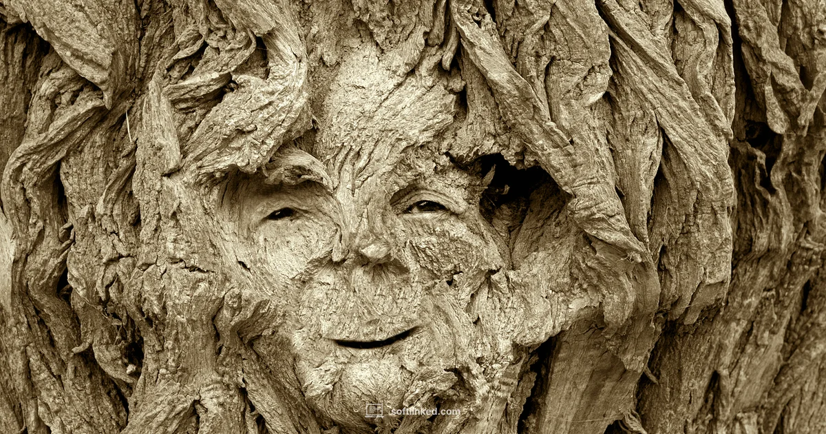 Photoshop Guide 2026 Photoshop Guide 2026 - SoftLinked