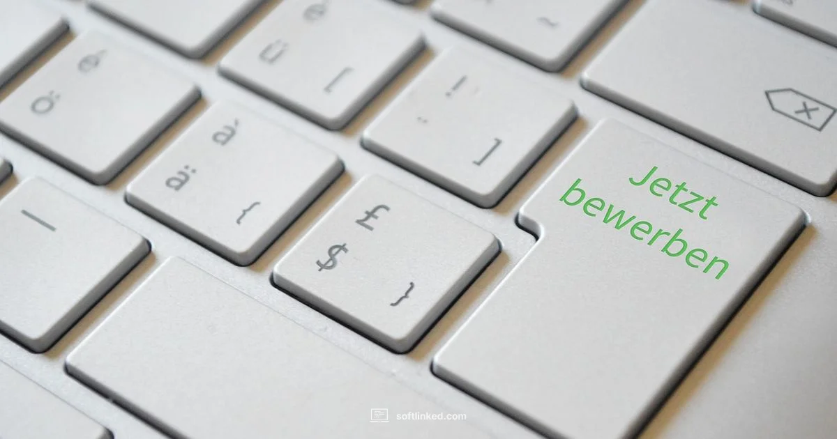 Online Passport Application - SoftLinked