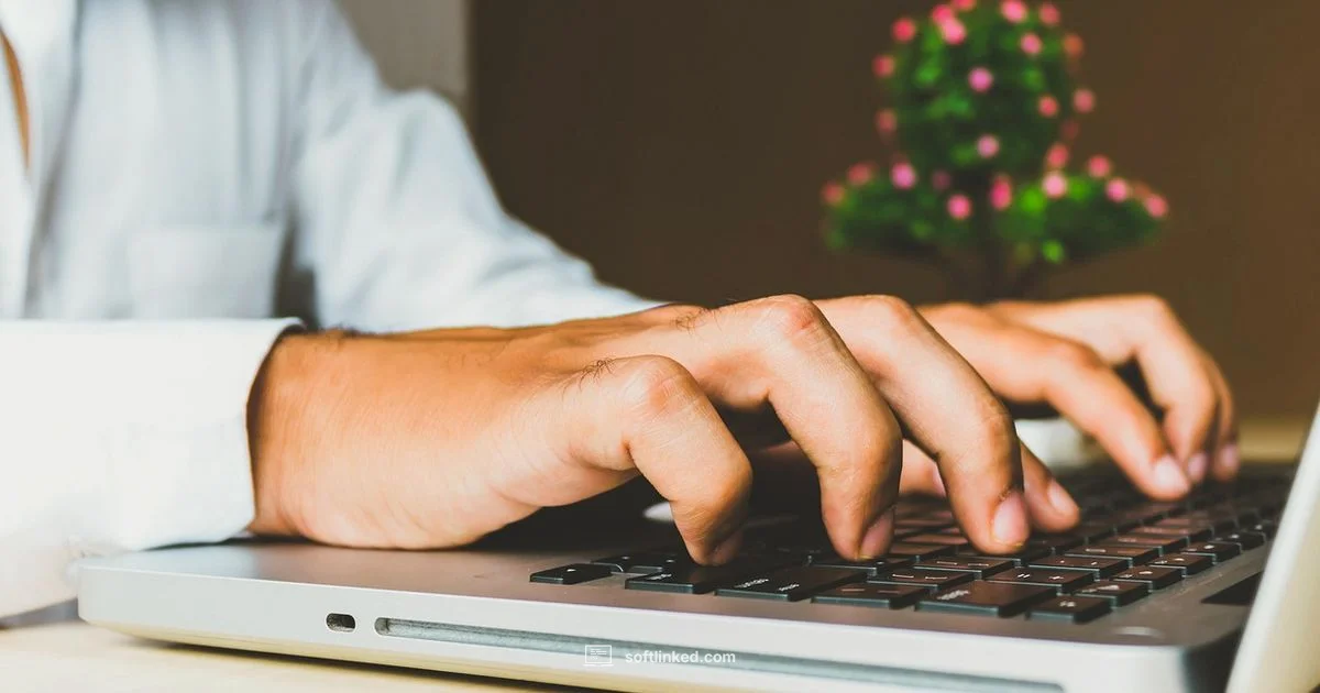 Software Mastery - SoftLinked