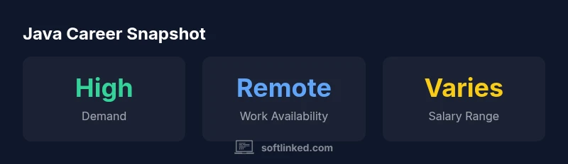 infographic showing Java developer career snapshot