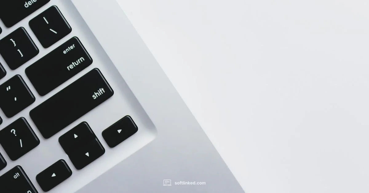 Is Software Kings Legit? - SoftLinked