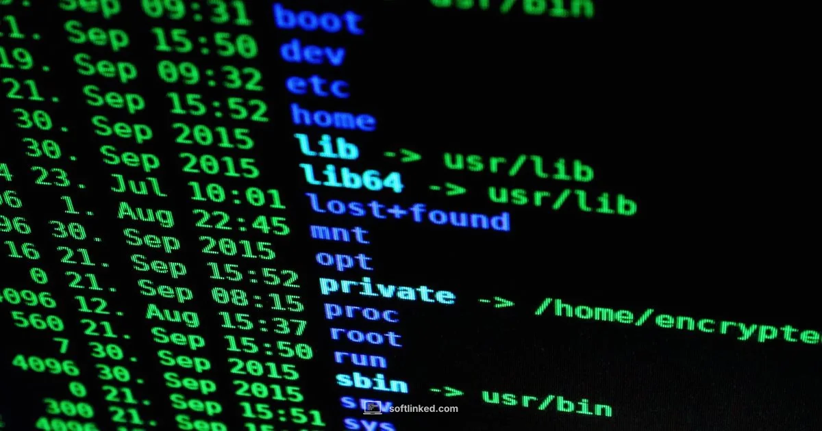 Avast Essentials Avast Essentials - SoftLinked