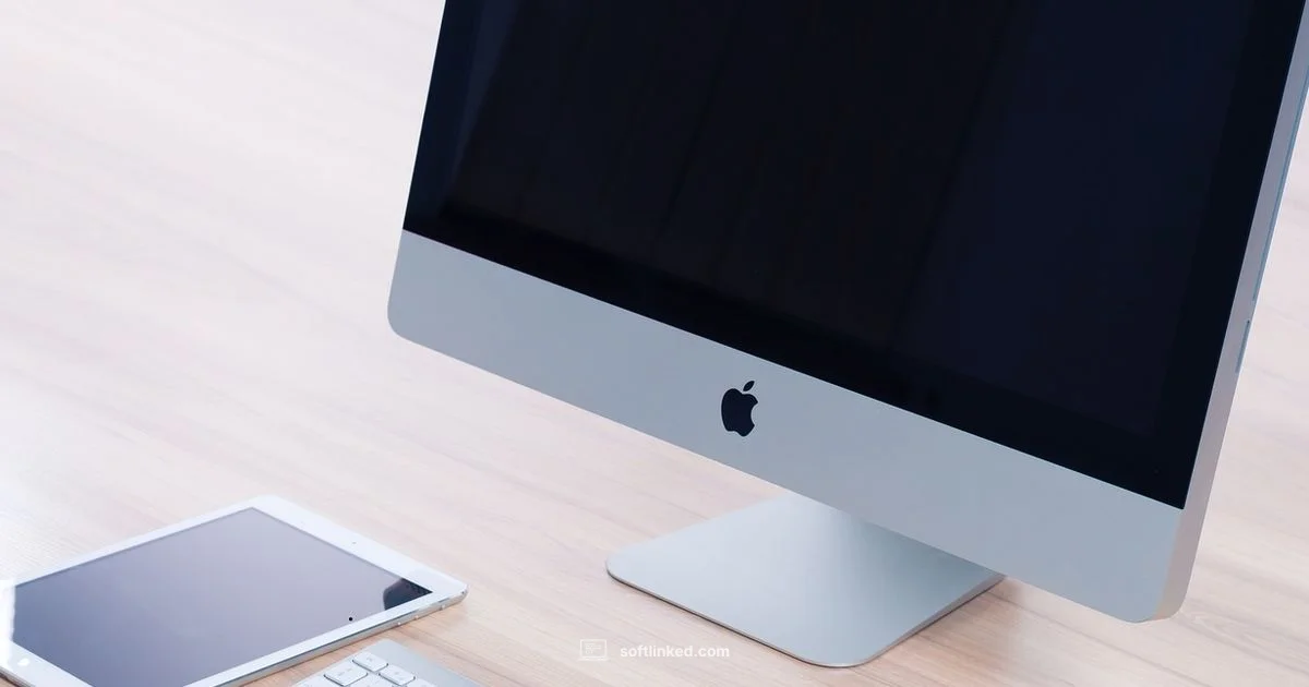 Software vs Website Software vs Website - SoftLinked