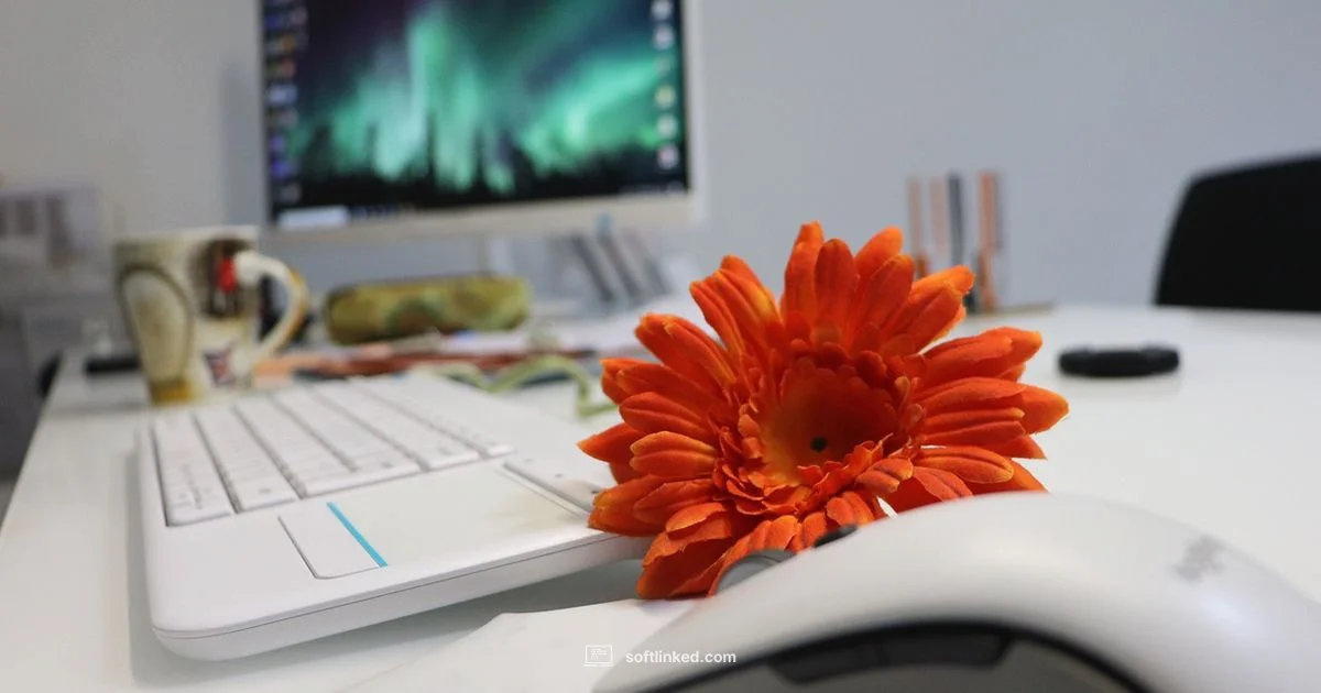 Calm AMD Popups - SoftLinked