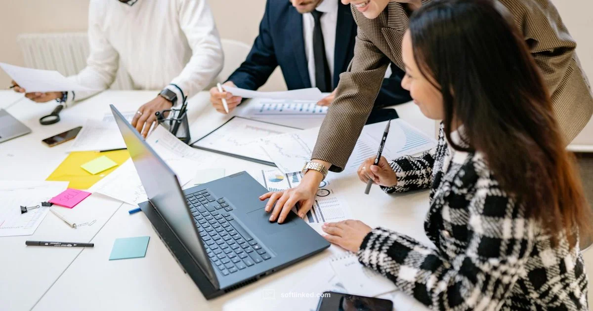 Software Ki Definition - SoftLinked