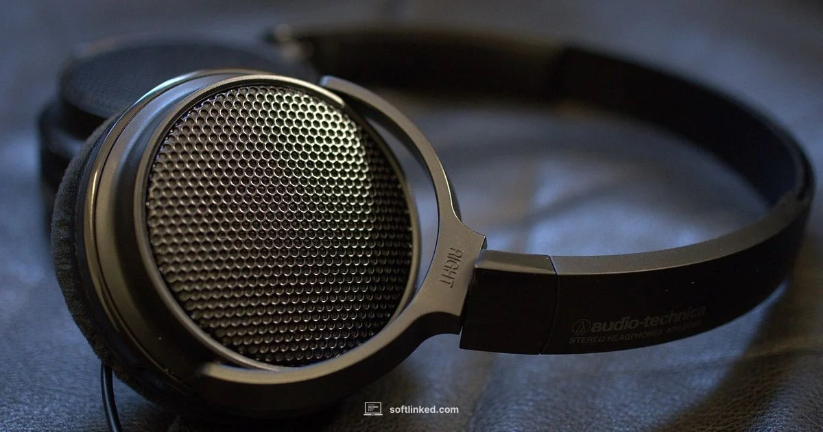 Free Screen Capture Free Screen Capture - SoftLinked