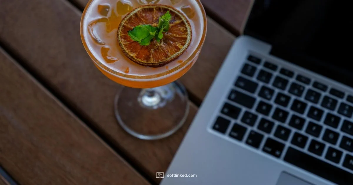 Software Intern Guide - SoftLinked