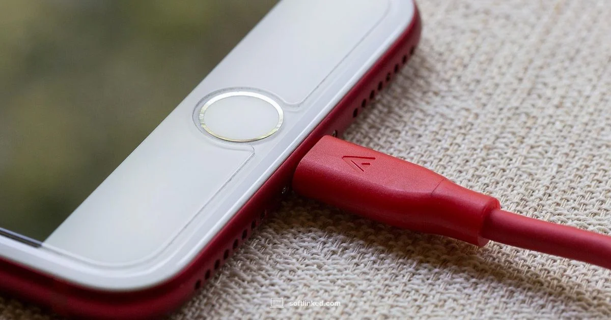 Charging Update Guide - SoftLinked