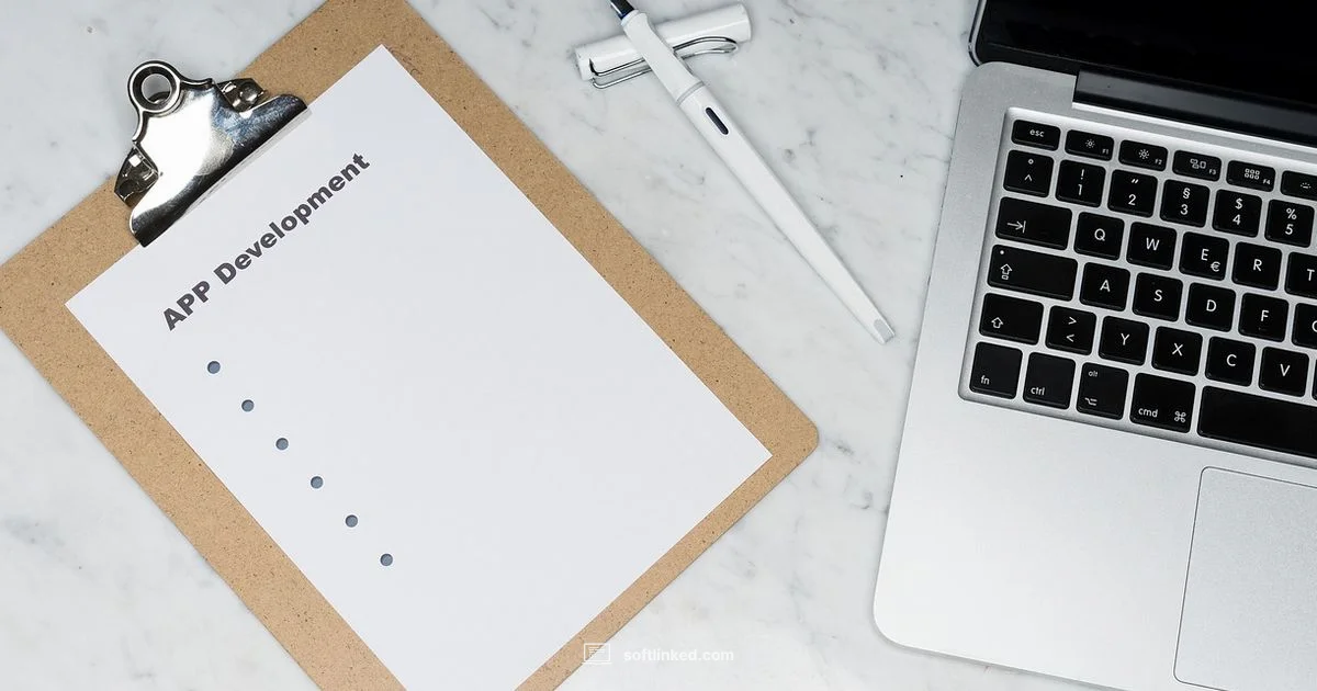 Road to Developer - SoftLinked