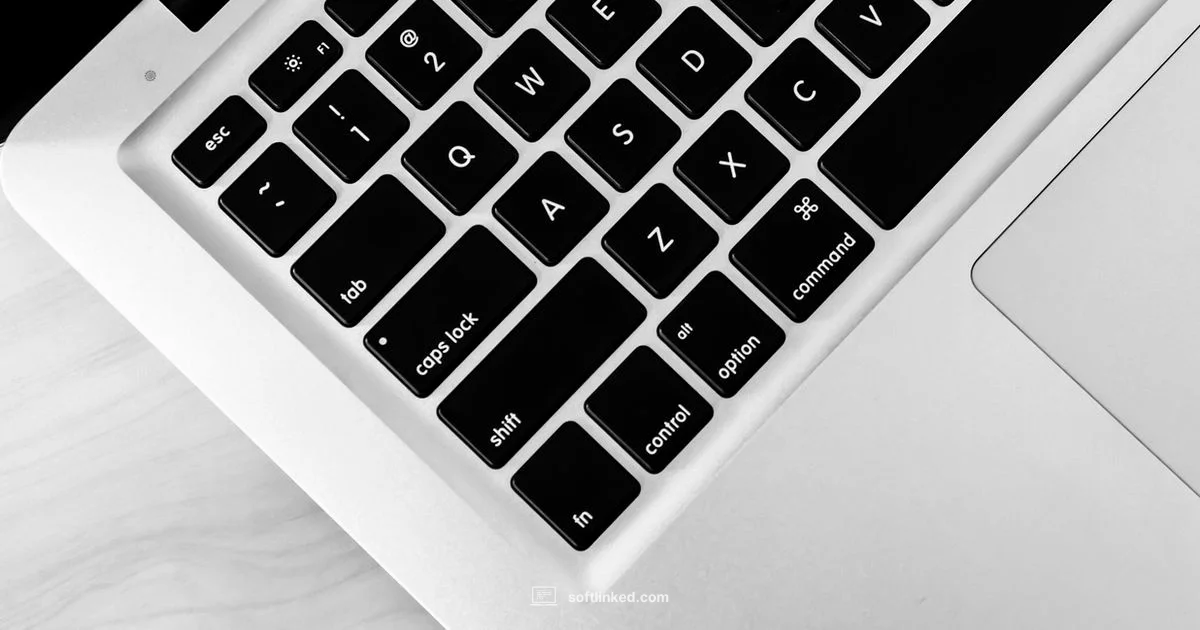 Busy on Mac - SoftLinked